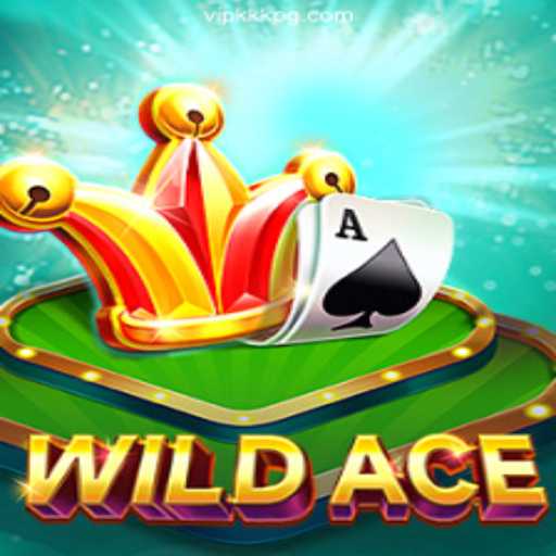 Exploring WildAce: The Thrilling World of Online Casino Gaming